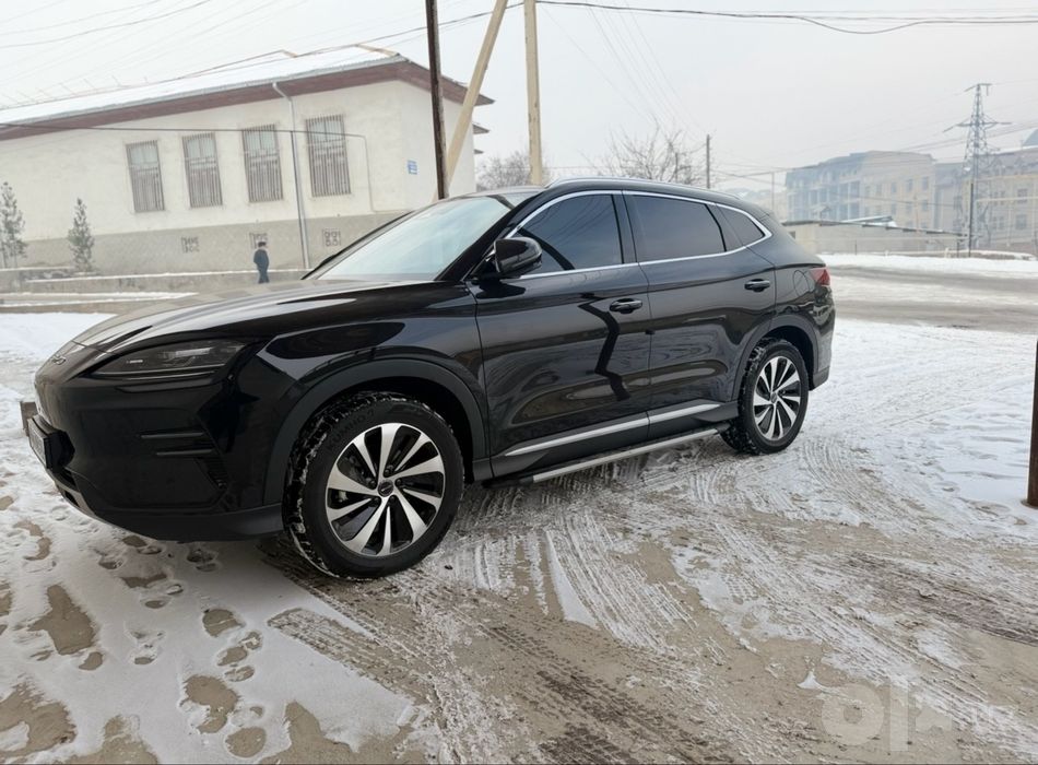 BYD Champion 605 км