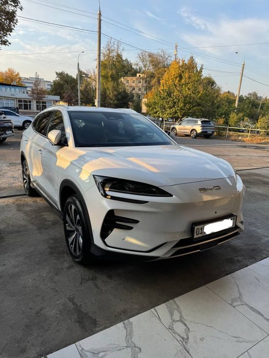 BYD chempion 605