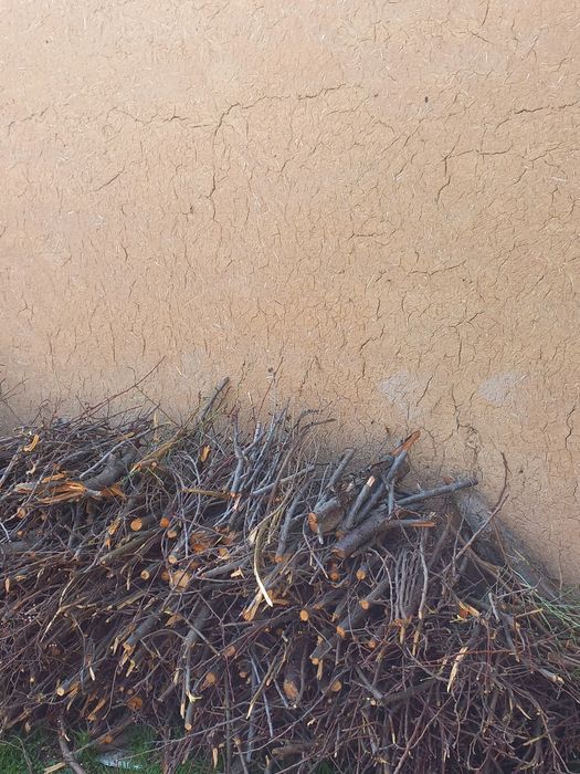 Утин  (дрова) дарахтники