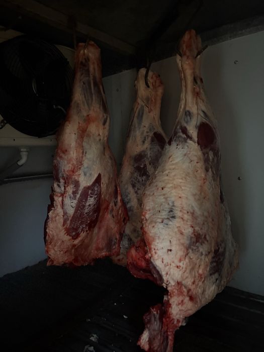 Срочно продается