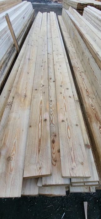 Лиственница. Алматы