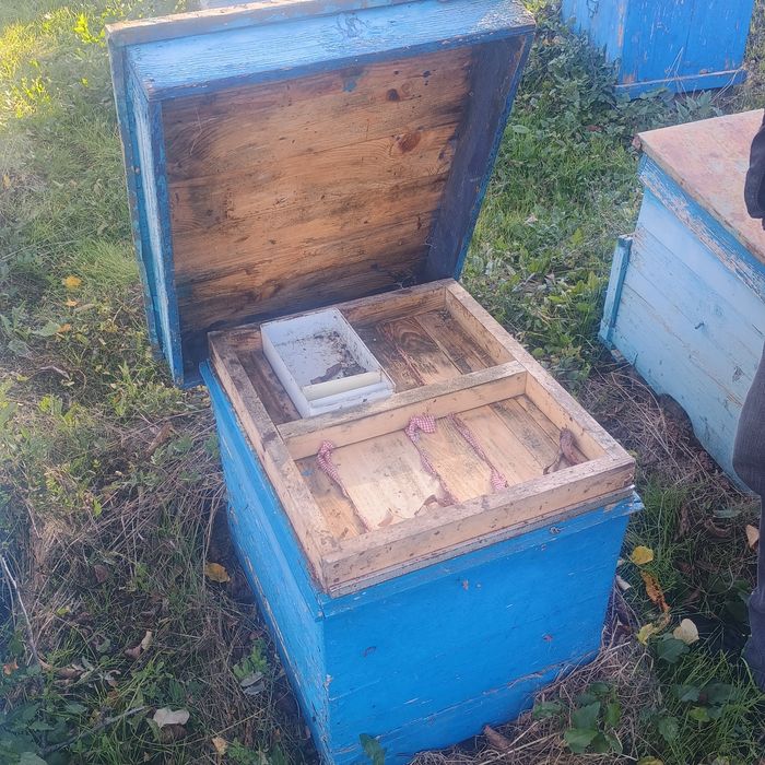 Пчелни кошери за пчели Дадан блат