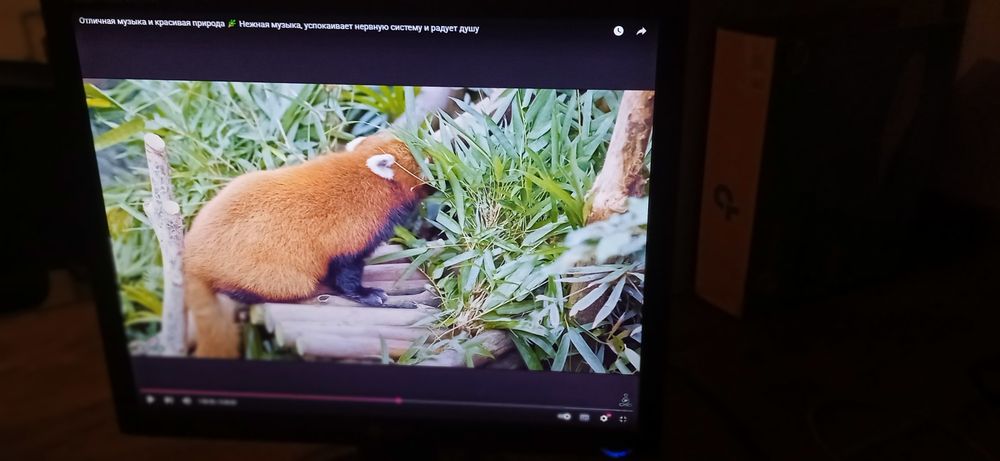 Монитор. LG. Flatron