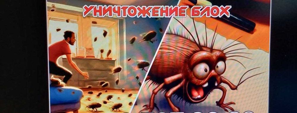 предоставляем услуги      обработка от блох