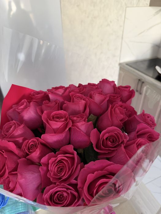 дд!Продам цветы , в хорошем состоянии