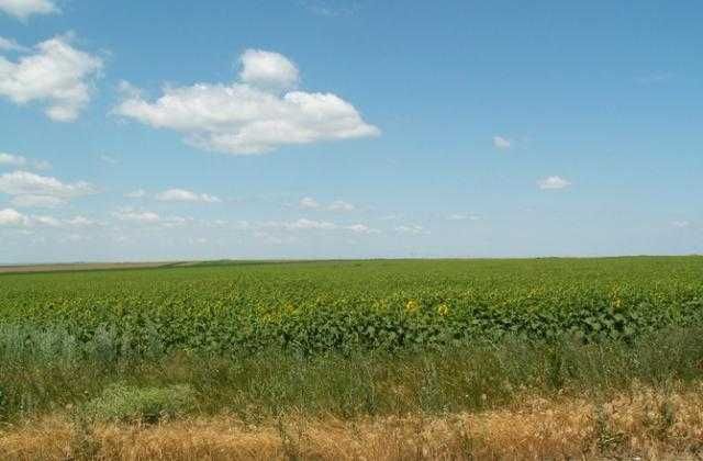 Продава се Земеделски имот в с. Орешак, Област Варна -  кв.м за 751 €/дка - Снимка #1