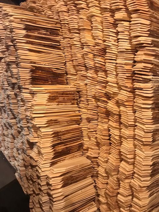 Sindrila / sita / dranita cu TRATAMENT