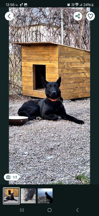 Колиба за голямо куче