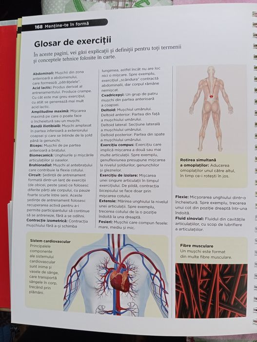 Fii în formă fără să mergi la sală  de Scott Tudge