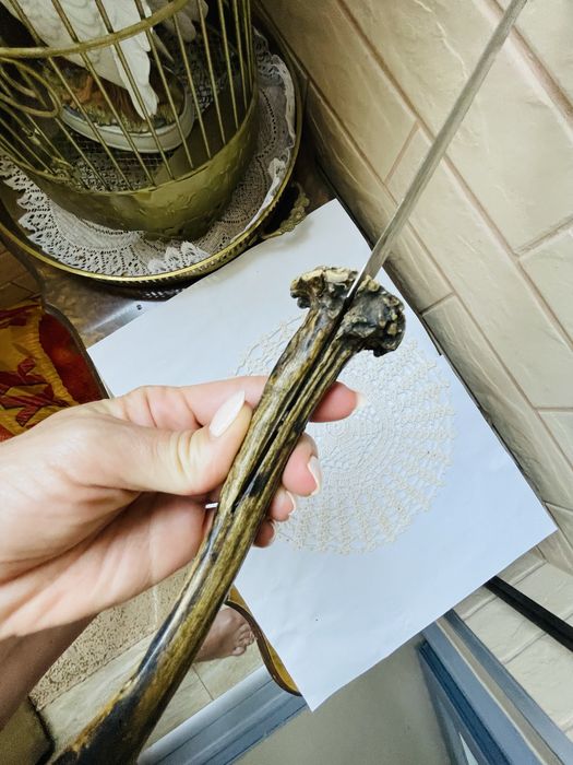 Красив стоманен нож с рог