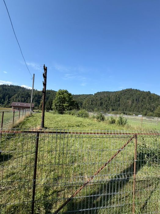 Vând teren intravilan in vatra molovitei 1358mp