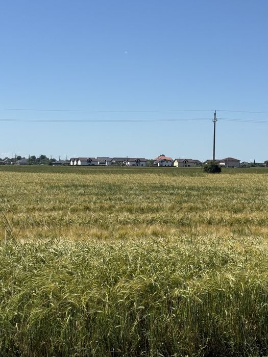 Parcele 500mp teren intravilan Ciorogarla 20€ mp