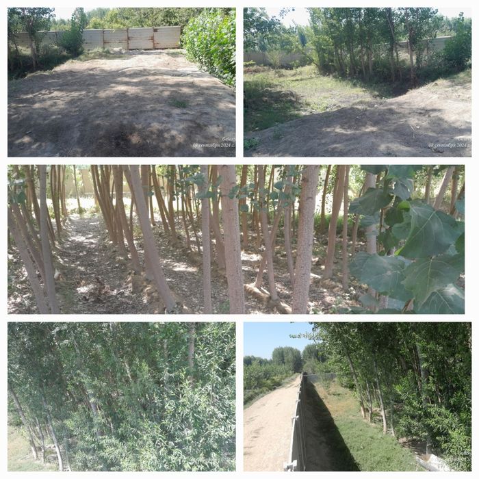 10 сотик чек сотилади