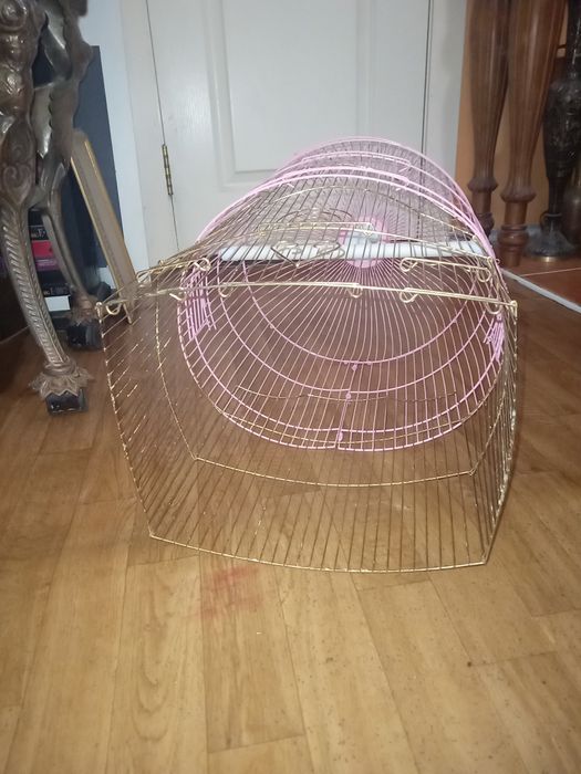 Клетки дешёвые . Спешите