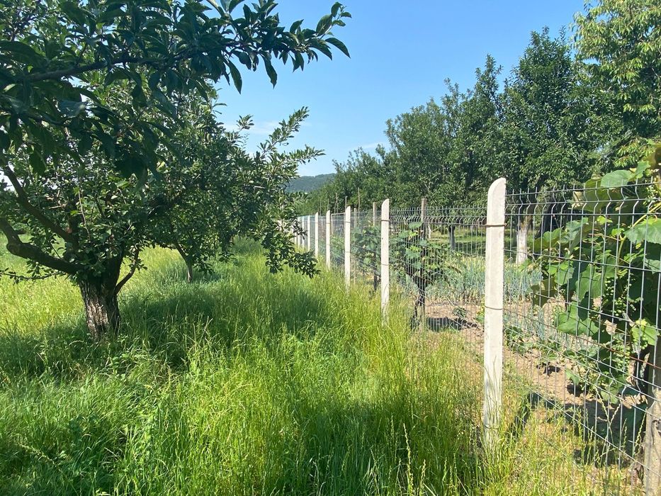 Vanzare teren Albestii Pamanteni 2640 mp