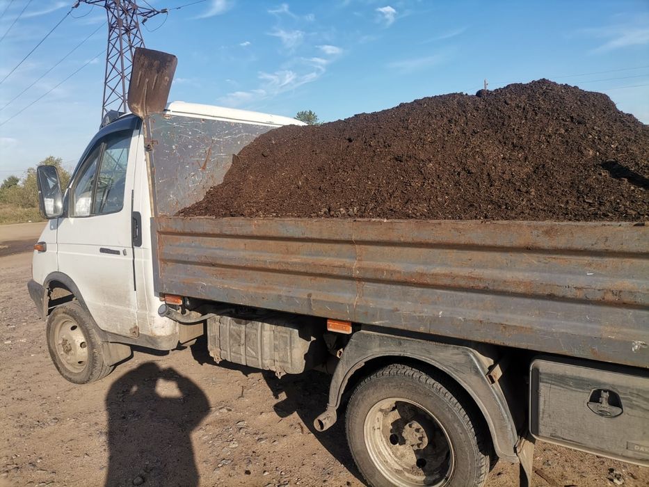 Продам пергной коровяк и конский