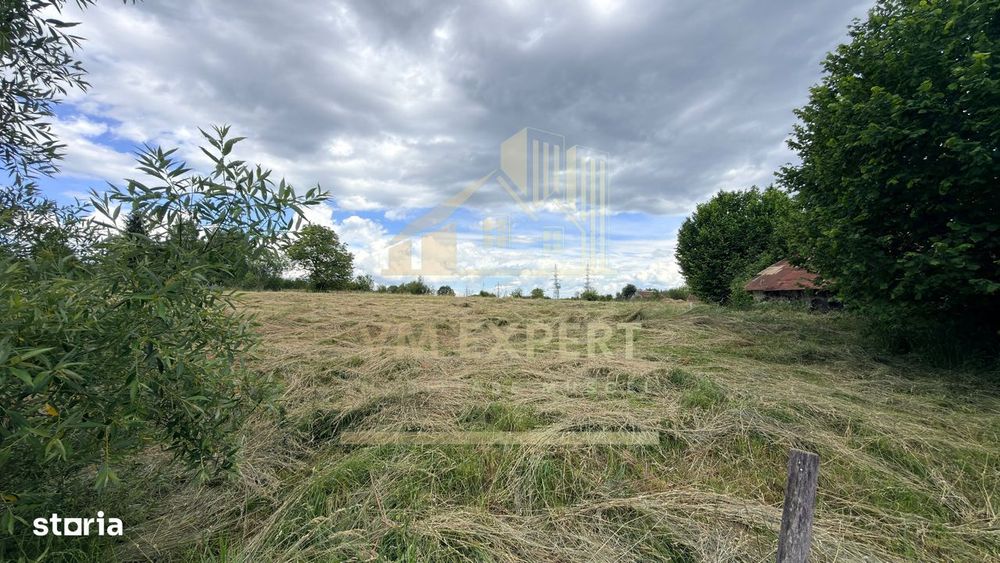 Casă Cu Teren Intravilan 6997 Mp Bughea De Sus Argeș