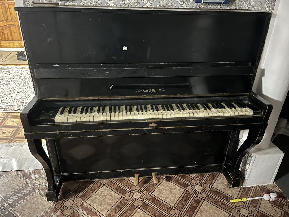 Продам пивнино черного цвета