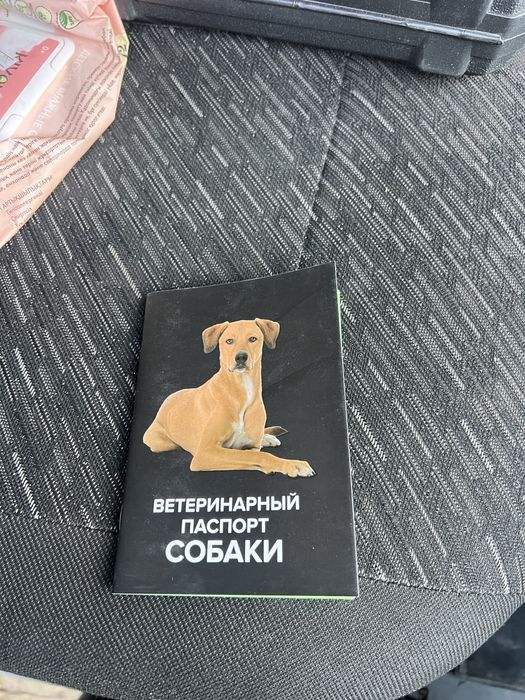 Срочно продам щенка вео