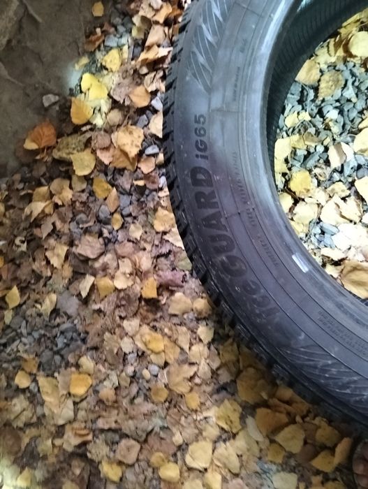 Зимня резина не дорого