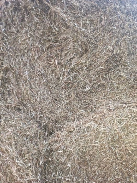 Продам гороховую солому