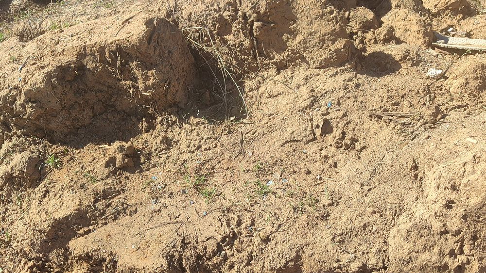 Сары балшық тегін