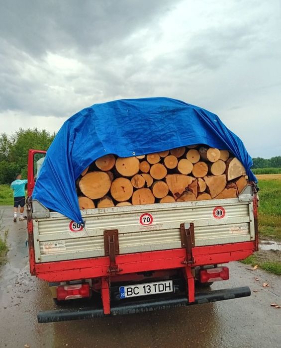 Vând lemne de foc esență fag