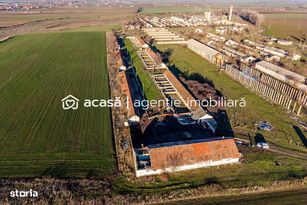 Teren 1.15 HA lângă Autostrada – Nădlac | clădiri+utilități