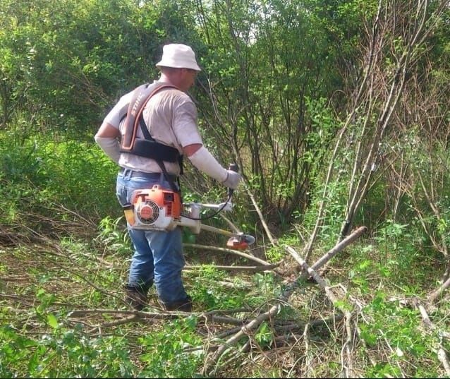 Спил деревьев обрезка ПРОФИ