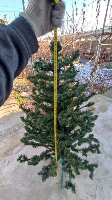 Yangi yil archasi(Новогодняя ёлка))