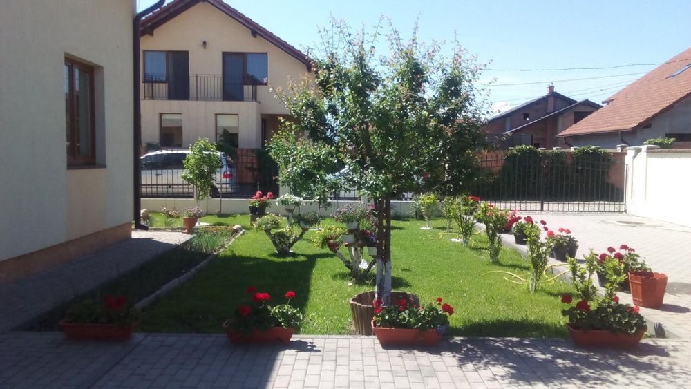 Casa de Vânzare Drumul Petrestiului