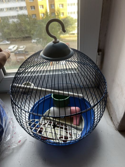 Сетка для папугая