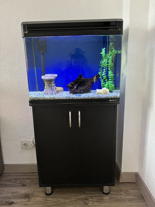 Аквариум 60 литров