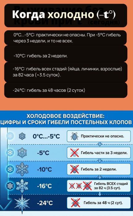 Дизинфекция помещения домов
