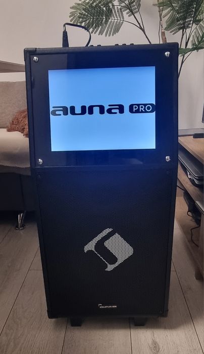 Караоке Auna pro