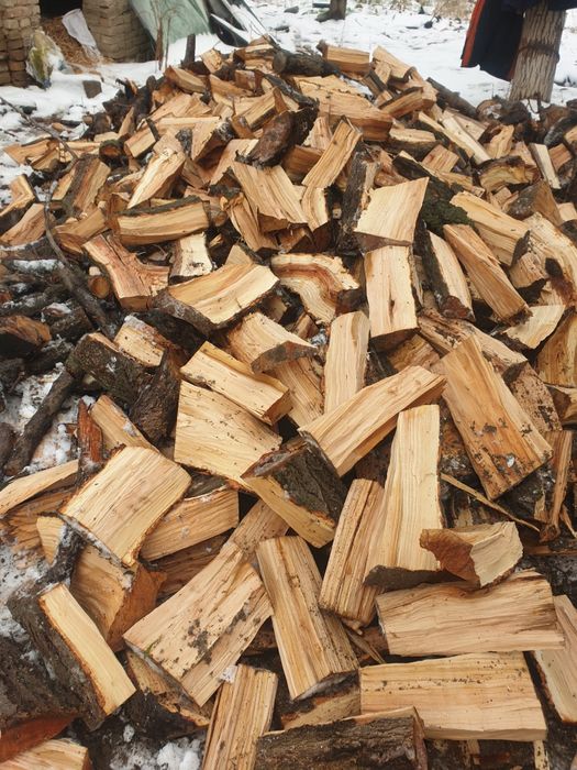 Дрова утин сотитади