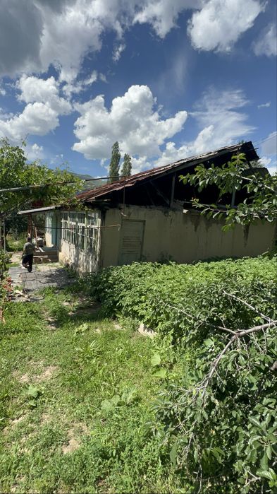 sotiladi bogistonda sivet bor sentirda