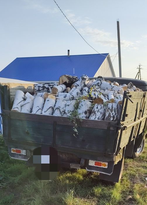Дрова.    берёза