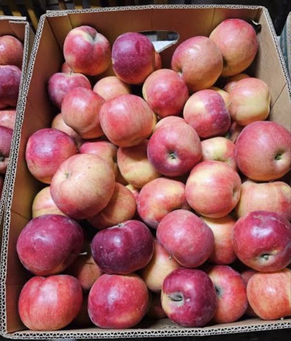 Айдаред,очень вкусные и местные яблоки