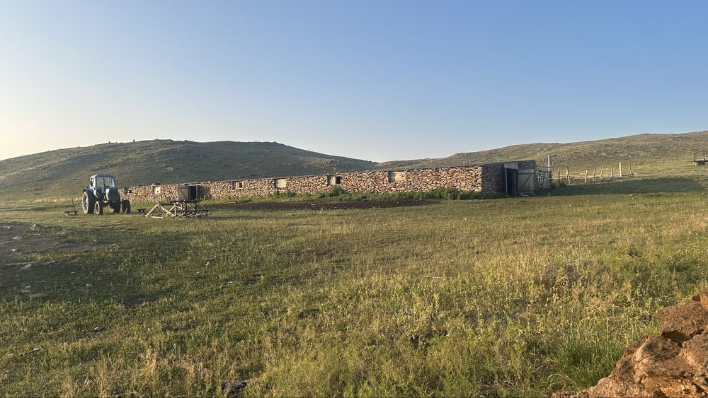 Продам крестьянское хозяйстсо