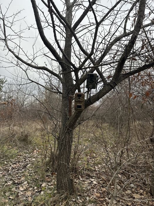 ForestCamLive F8 Gps 4G Termometru Camera Vanatoare Live