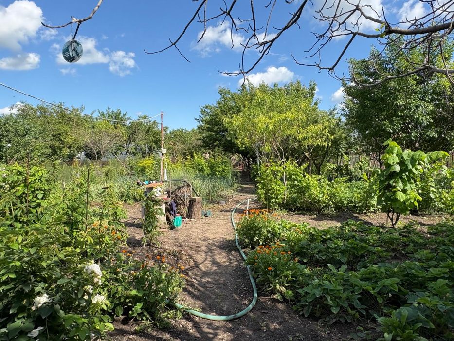 Casa de vanzare Alexandria