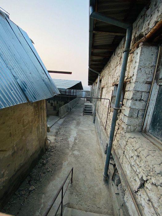 Назарбек мостидан 8 км ичкарида 12 Сотокли ховли