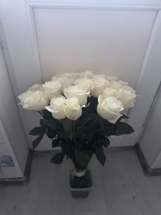 Белые розы, метровые, цветы