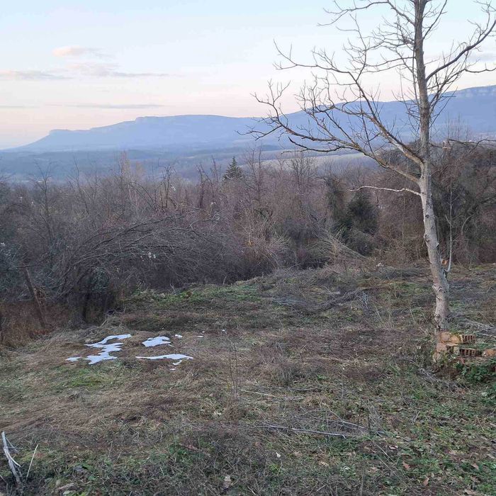 Продава се Парцел в с. Янковци, Област Габрово - 627 кв.м за 27 €/кв.м - Снимка #2