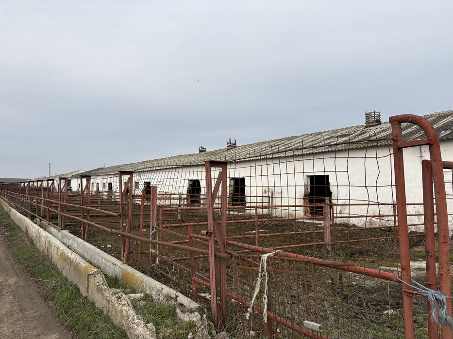 Hala depozitare ferma  80 lungime 12 latimea constructiei +12 /80curte