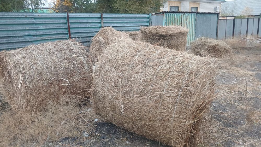 Сено в рулонах разнотравье