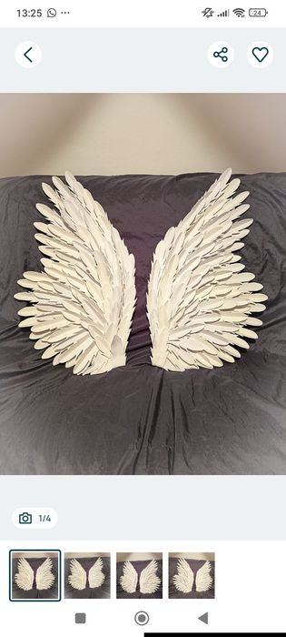 Aripi inger panou/ photocorner