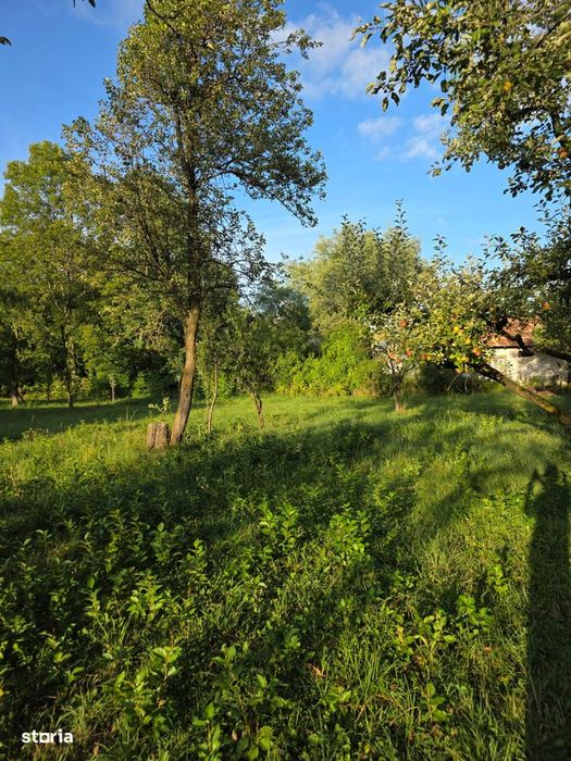 Teren 2500 Mp – Potențial Business / Dezvoltare – Breaza