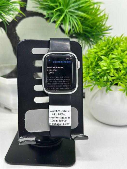 Apple Watch / 9 Serie / 41 mm /